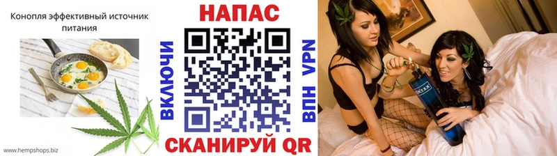 Canna-Cookies конопля  Снежногорск 