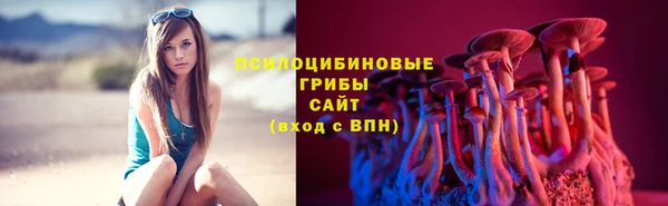 стаф Армянск