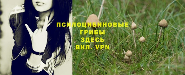 марки lsd Арсеньев