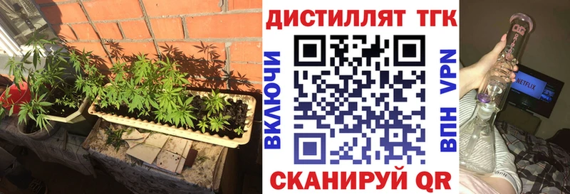 Дистиллят ТГК вейп  ОМГ ОМГ как войти  Снежногорск  где купить наркоту 